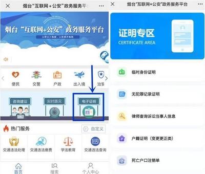 临时身份证明电子政务认证服务 数字化赋能与便民新体验